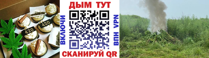 закладка  Николаевск  Cannafood конопля 