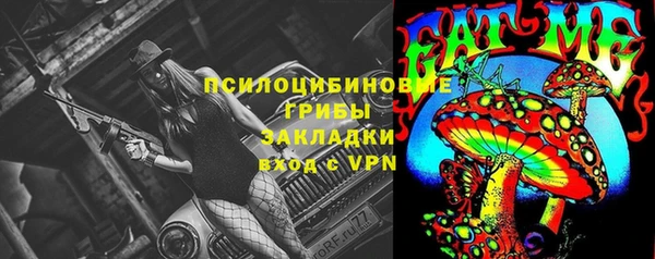 гидропоника Аркадак