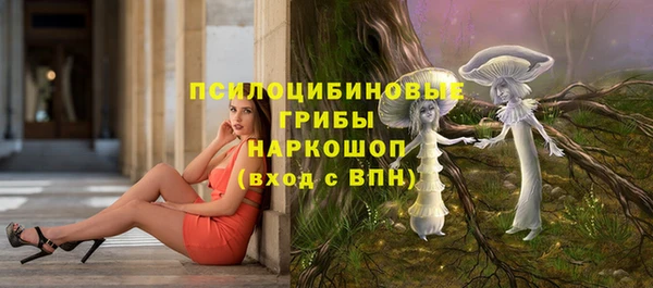 гидропоника Аркадак