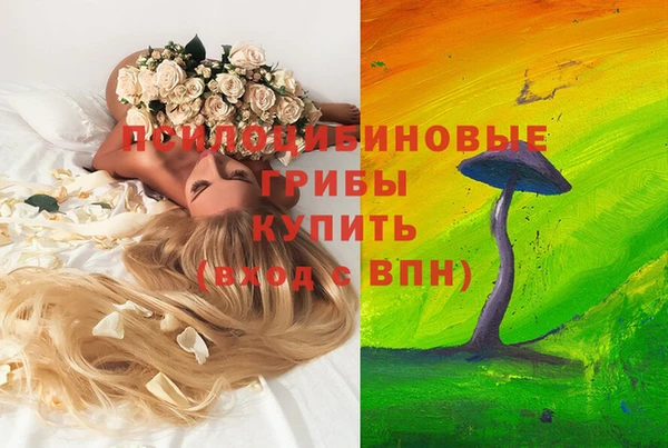 гидропоника Аркадак