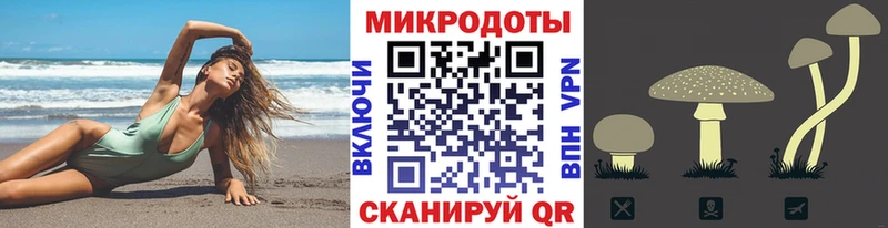 Псилоцибиновые грибы мицелий  Николаевск 
